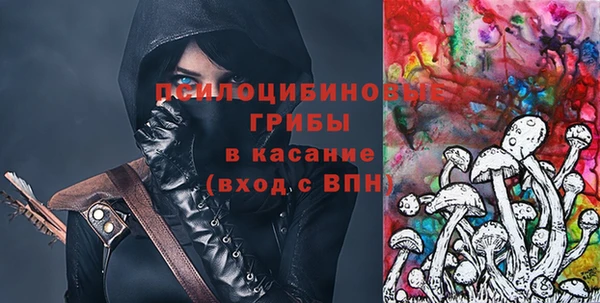 бошки Костерёво