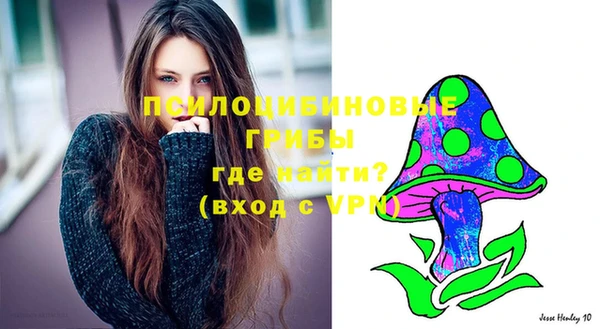 прущие грибы Козельск