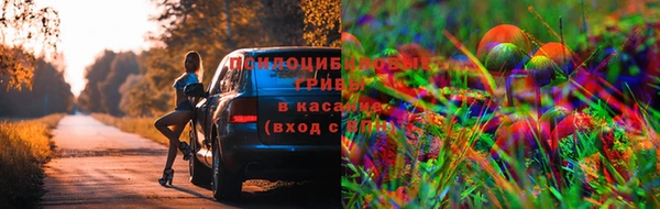 эйфоретик Коряжма