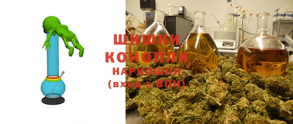 прущие грибы Козельск