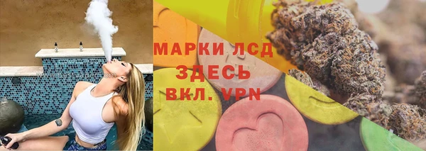 хмурый Кодинск